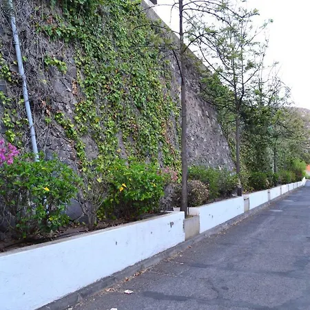 Flores & Campos شقة سانتا كروز دي تينيريف