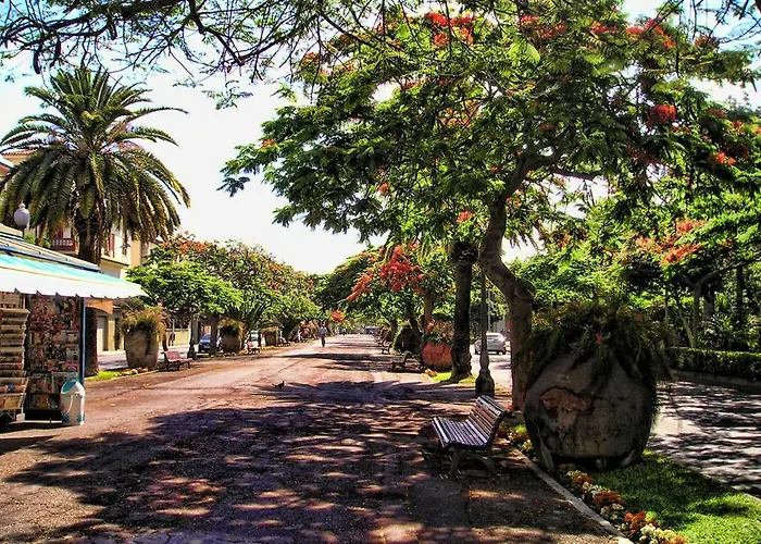 Flores & Campos Apartment